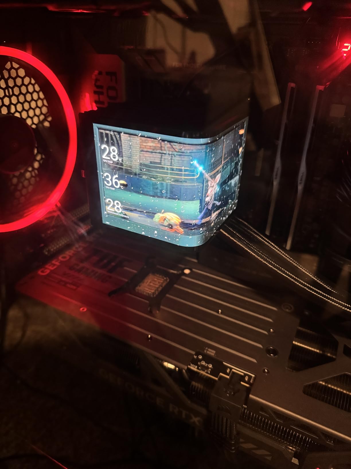 ASUS TUF Gaming GeForce RTX™ 5080 16GB GDDR7 OC Edition Graphics Card customer photo 1