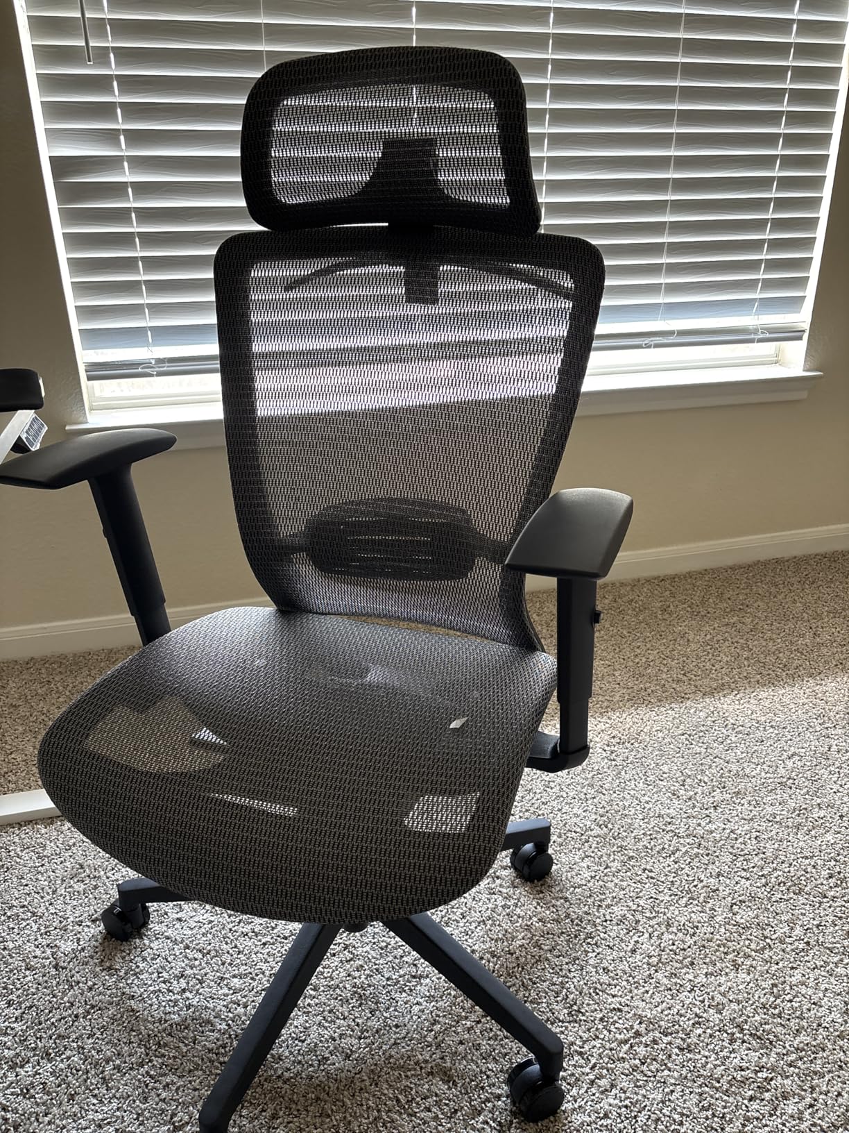 FLEXISPOT Ergonomic Office Chair, High Back Home Office Desk Chairs with Adjustable Lumbar Support, Armrests, 90-130° Tilt Lock, Comfort Wide Cushion, Swivel Computer Gaming Chairs for Adults (Black) customer photo 1