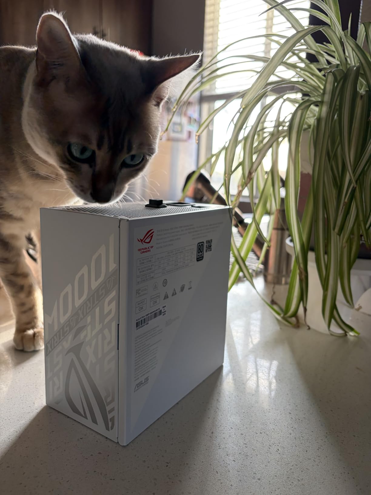 ASUS ROG Strix 1000W Platinum White Edition (Fully Modular Power Supply, 80 Plus Platinum Certified, ATX 3.1, GaN MOSFET, GPU-First Patented-Intelligent Voltage Stabilizer, 10-Year Warranty) customer photo 1