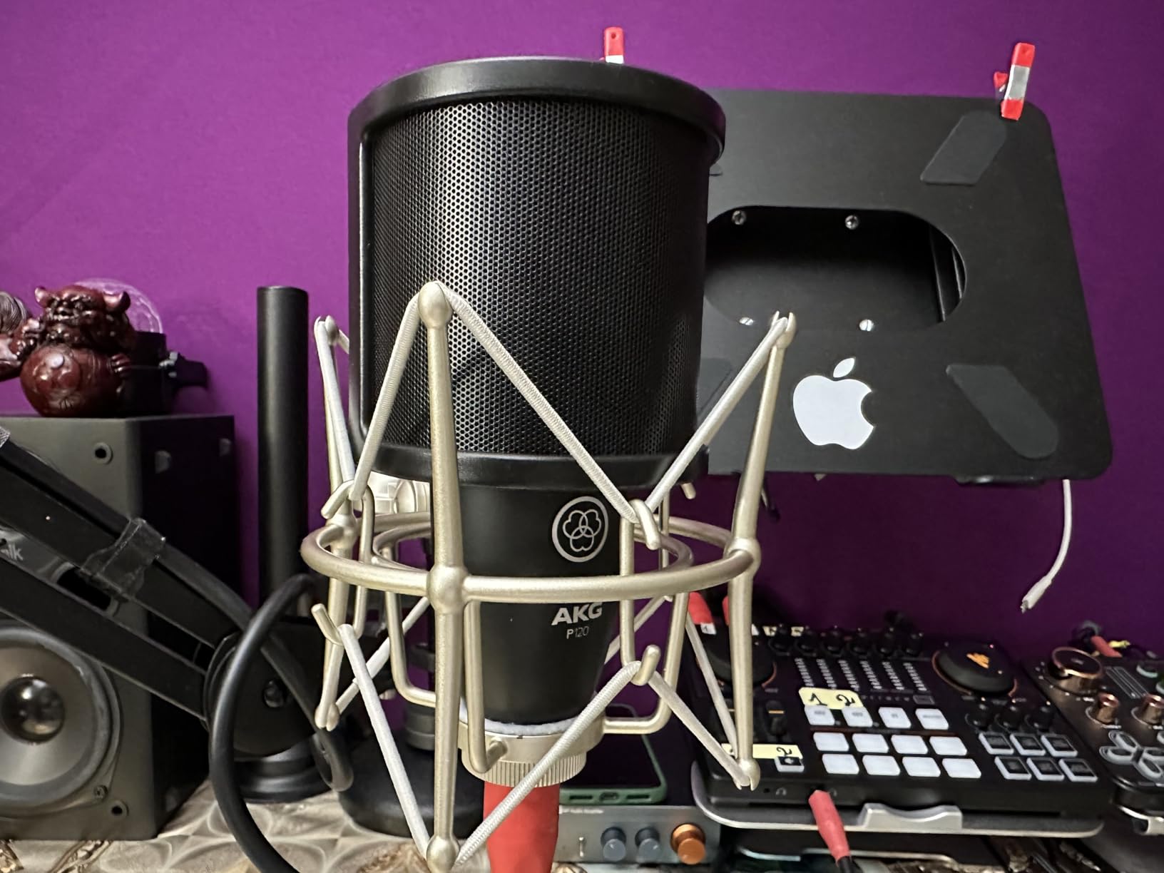 AKG Pro Audio P120 Affordable 2/3-Inch Diaphragm Condenser Microphone for Clear Vocals & Instruments customer photo 1