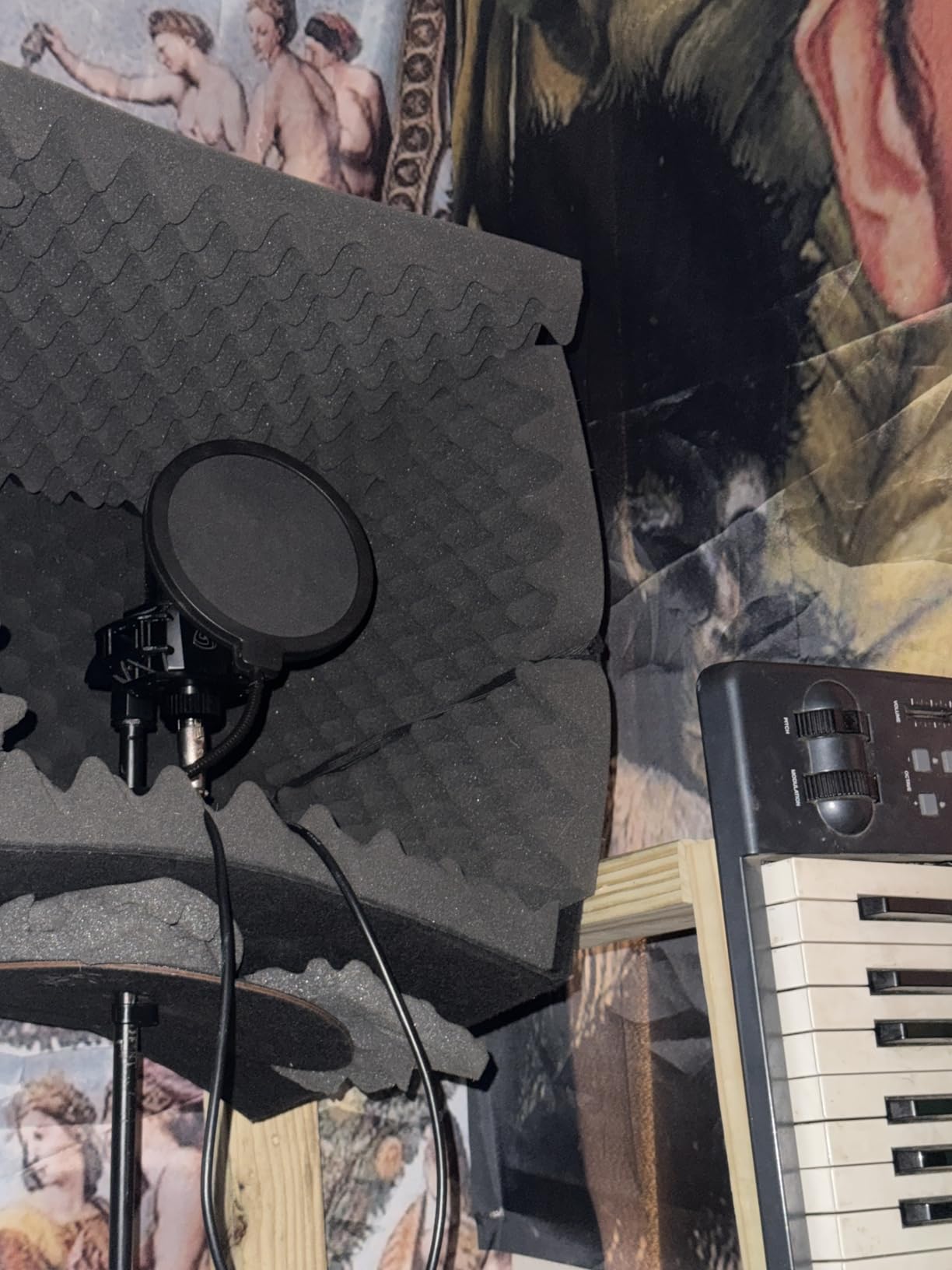 LEWITT LCT440PURE Large Diaphragm Condenser Mic customer photo 2