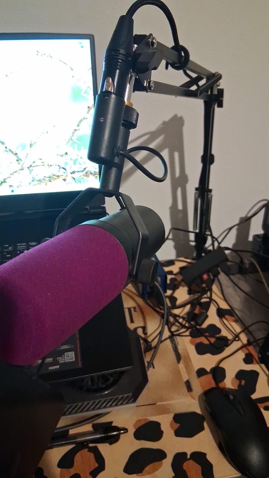 QuadCast Boom Arm, Mic Arm for Blue Yeti HyperX QuadCast SoloCast Fifine AM8 and Most Microphone, Mic Stand Desk with 3/8