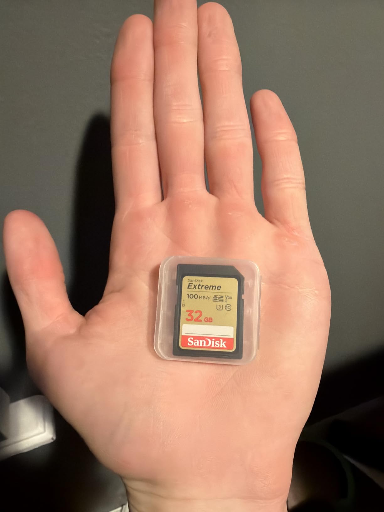 SANDISK 256GB Extreme SDXC UHS-I Memory Card - C10, U3, V30, 4K, UHD, SD Card - SDSDXVV-256G-GNCIN customer photo 2