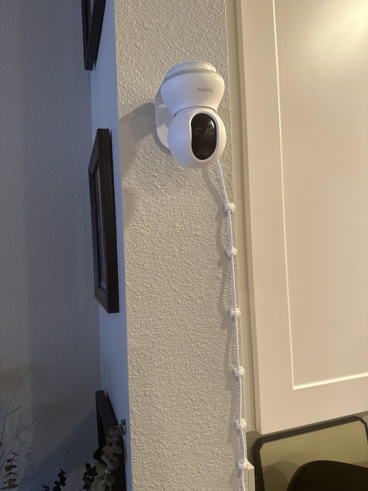 blurams 5G Cameras for Home Security, 2K Pet Camera with Phone App, 360° PTZ Indoor Camera w/Dual-Band WiFi6, Free Human/Motion/Sound Detection, 2-Way Talk, Night Vision, Compatible with Alexa, 2Pack customer photo 1