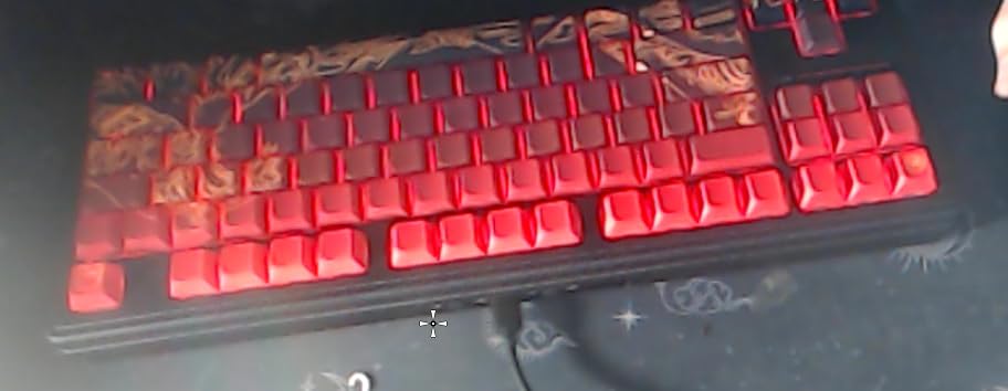 75% Custom Barebones Keyboard Kit Gasket Mounted, Blank DIY Silent TKL Mechanical Gaming Keyboard PCB Hot Swappable 3pin/5pin Switch with South-Facing RGB for Win/Mac (M87 Kit-Black) customer photo 1
