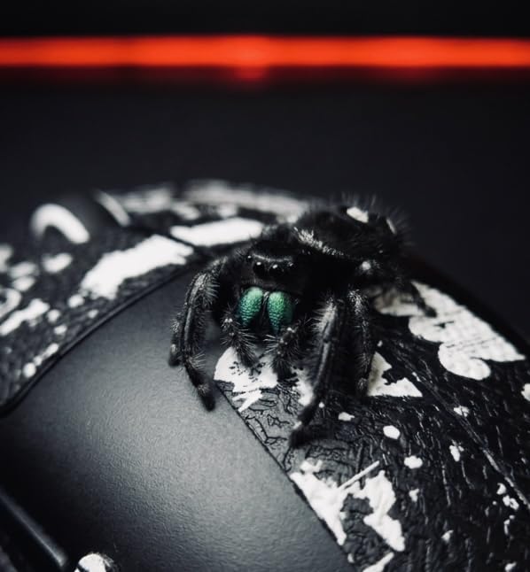 MCHOSE L7 Ultra+ Wireless Gaming Mouse, Lightweight 48g, Ergonomic Mouse with 42K DPI, PAW3950, Optical Switch, 20000 FPS, Dual 8K Polling and 7 Programmable Buttons, 3-Mode Connect, PC/Mac - Black customer photo 2