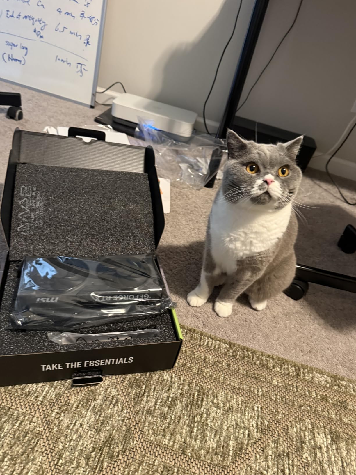 msi Gaming RTX 5070 12G Ventus 2X OC Black Graphics Card (12GB GDDR7, 192-bit, Extreme Performance: 2542 MHz, DisplayPort x3 2.1a, HDMI 2.1b, NVIDIA Blackwell Architecture) customer photo 2
