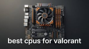best cpus for valorant