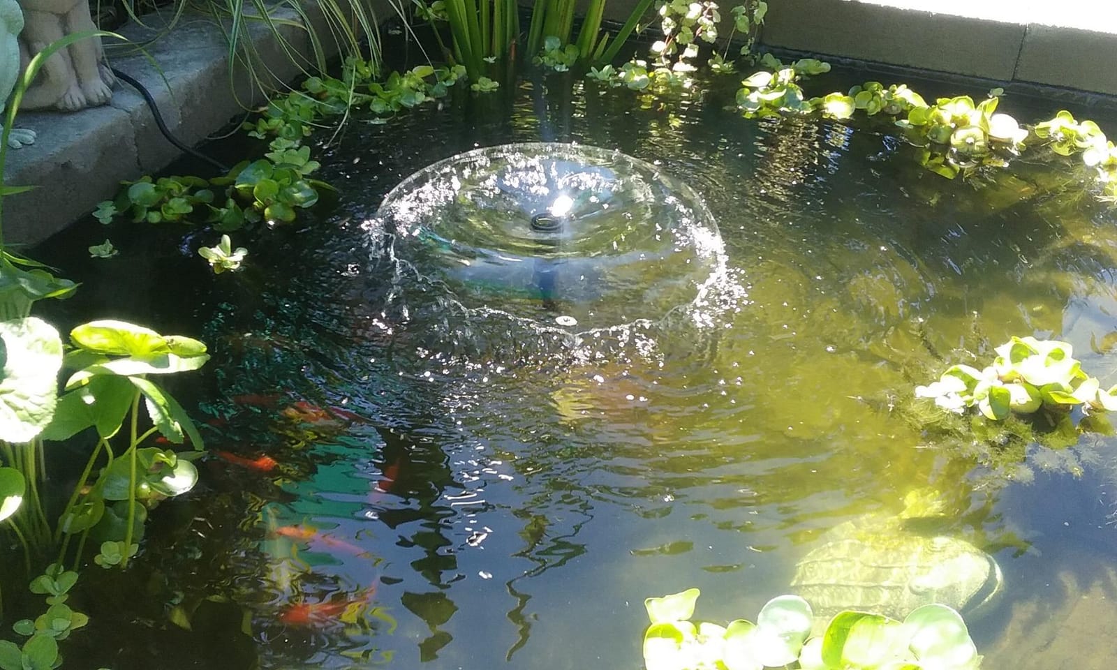 Danner Manufacturing, Inc. Pondmaster Garden Pond Filter and Pump Kit, PMK 190, Black, 02019 customer photo 2