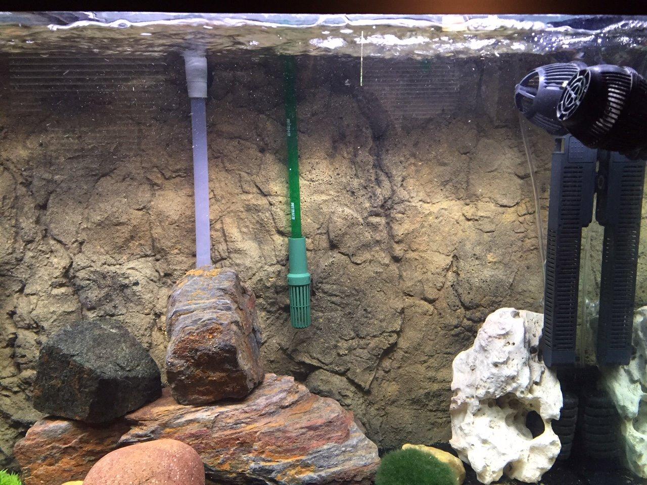 EHEIM Classic Canister Filter 2213, Classic 250 customer photo 1