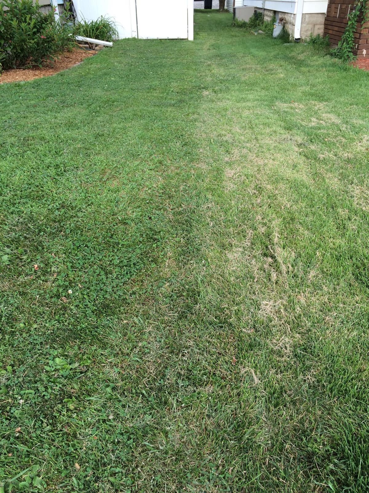 Great States 815-18 18-Inch 5-Blade Push Reel Lawn Mower, Grey customer photo 2