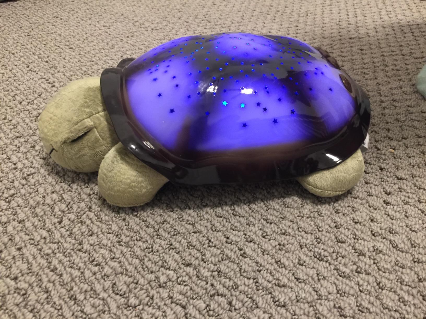 Cloud b Calming Nightlight Star Projector | Gentle Brightness | 3 Colors | 8 Constellations | Auto-Shutoff | Twilight Turtle Green customer photo 1