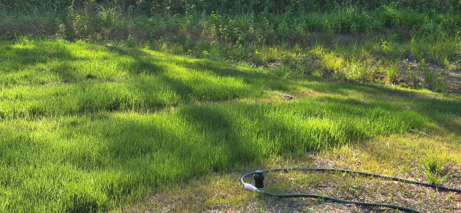 Orbit H2O-Six Gear-Drive Sprinkler on Metal T-Spike - Customizable Lawn Watering Coverage - Multi-Pattern Rotating Head with Adjustable Spray Range - Durable Outdoor Yard Irrigation Sprinkler - 58573 customer photo 1