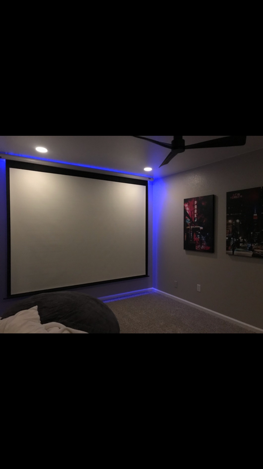 Elite Screens Spectrum 120-Inch 4:3 Electric Motorized Projector Screen, 4K/8K Ultra HD Ready, Home Theater, Classroom & Office, White Case, ELECTRIC120V customer photo 1