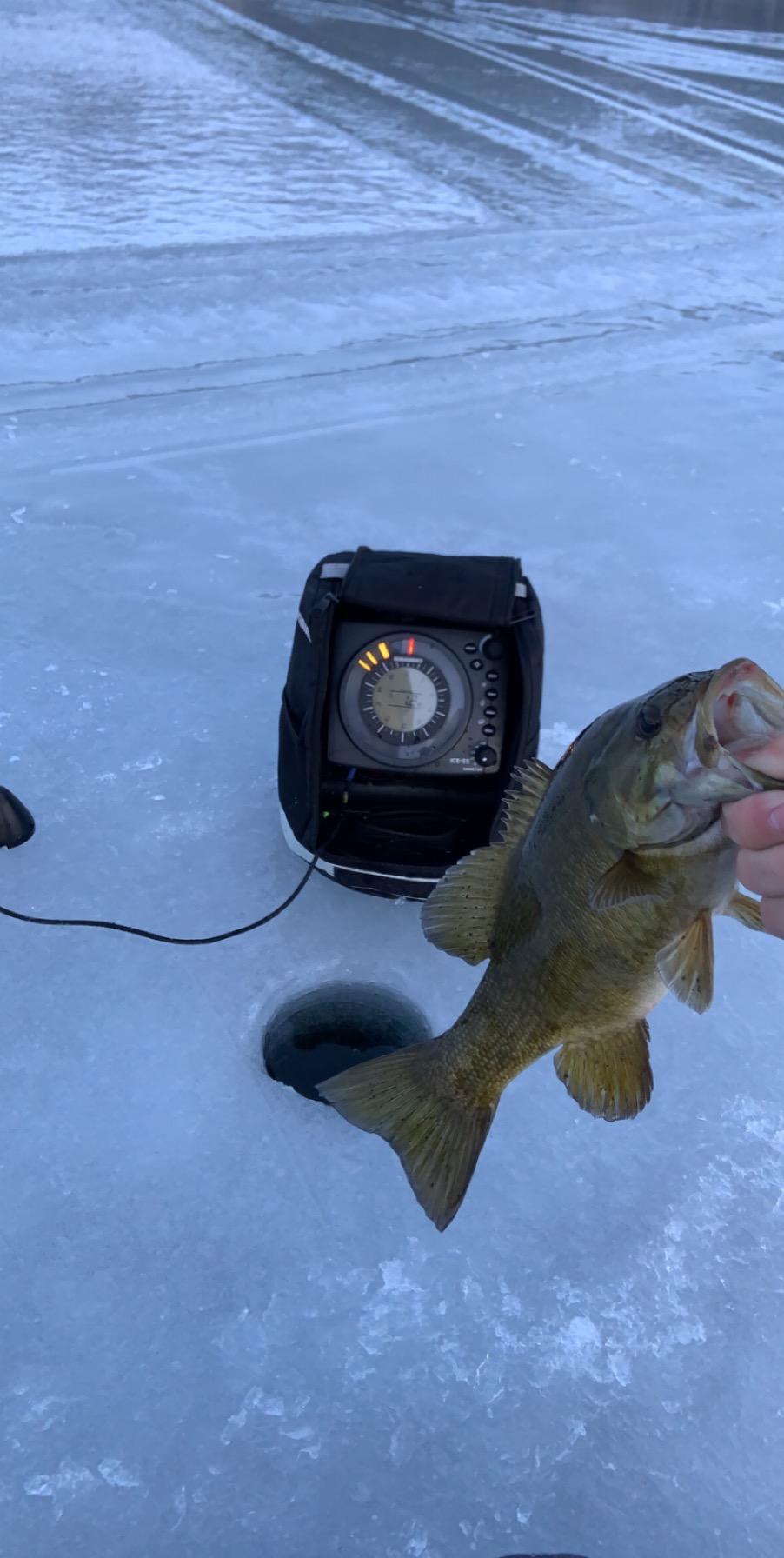 Humminbird ICE 55 Flasher Ice Fishing Fish Finder with Transducer and 6-Color Fiber Optic Display customer photo 1
