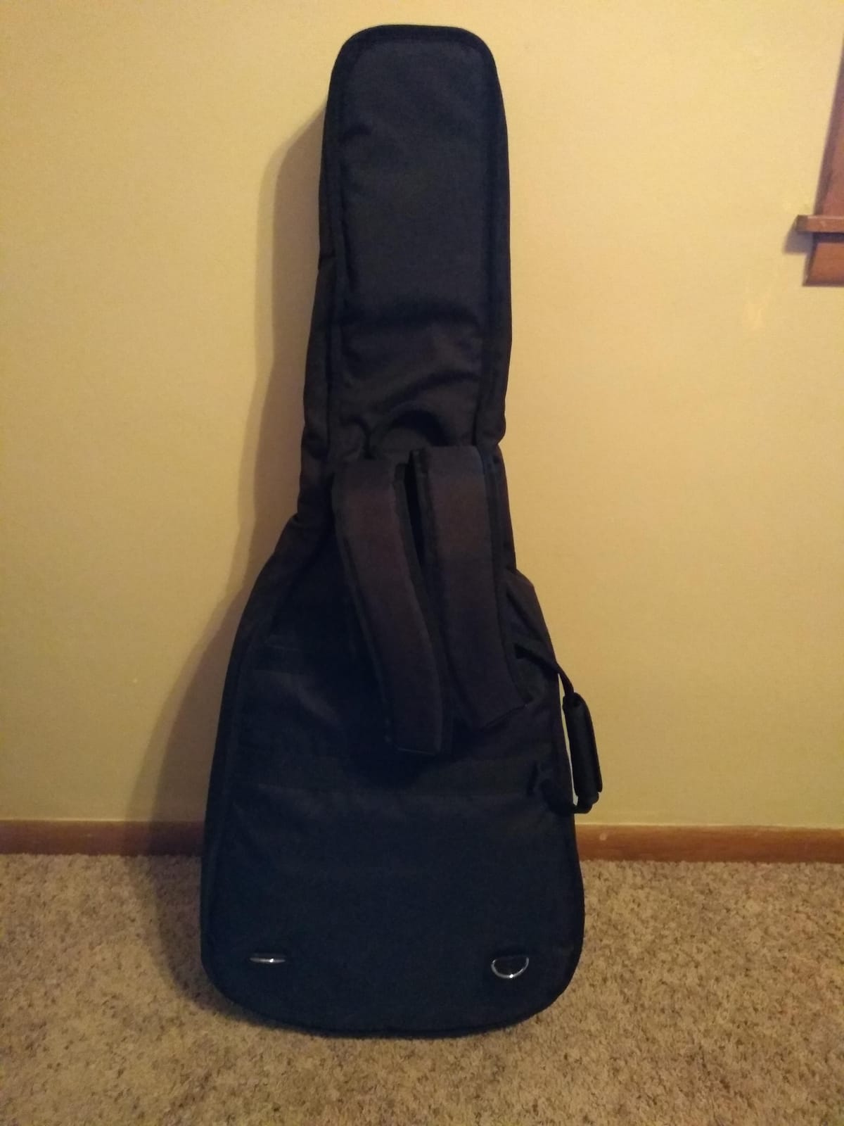 ProTec CF235 Deluxe Dreadnought Bag customer photo 1