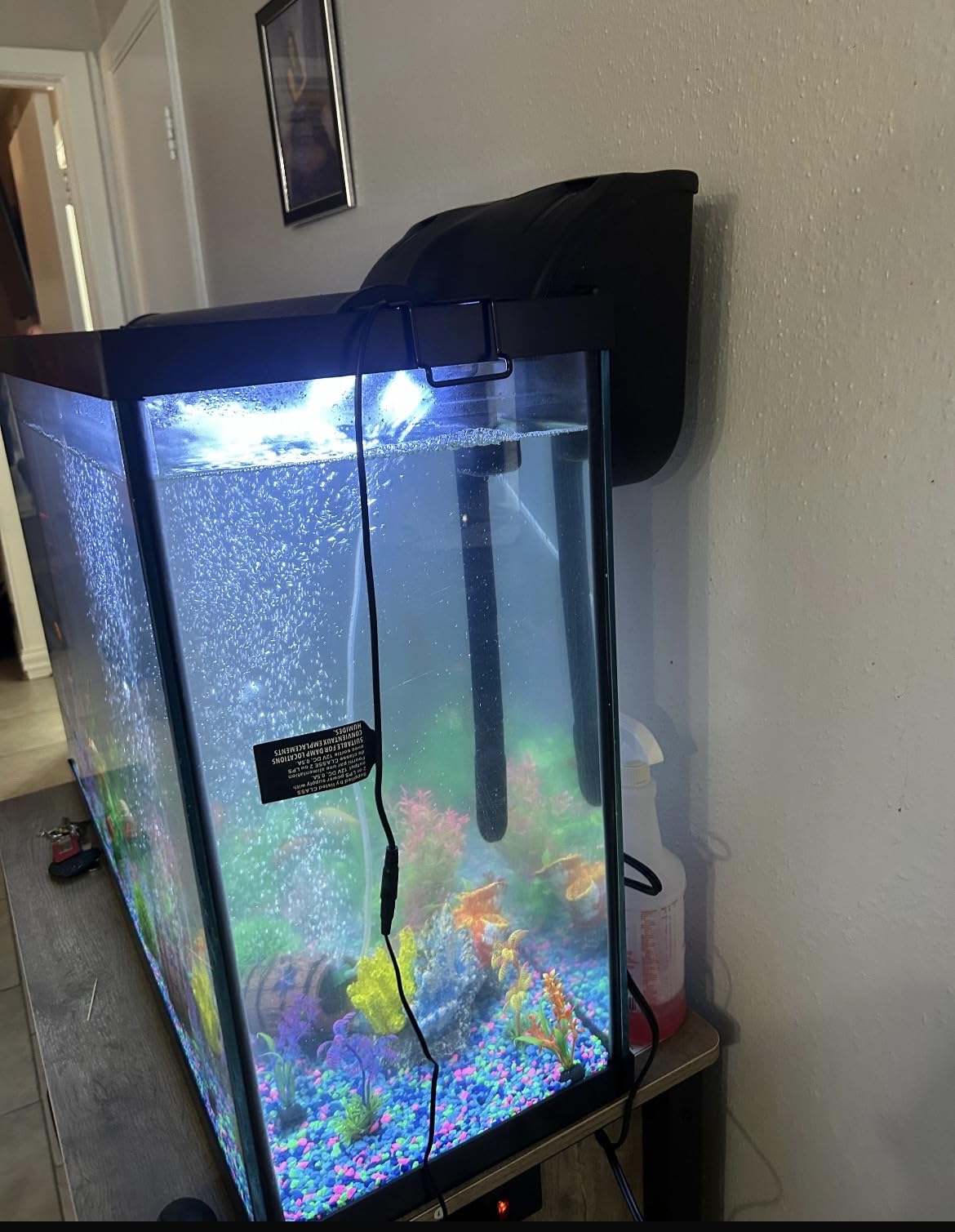 Tetra Whisper EX 70 Filter For 45 To 70 Gallon aquariums, Silent Multi-Stage Filtration customer photo 1