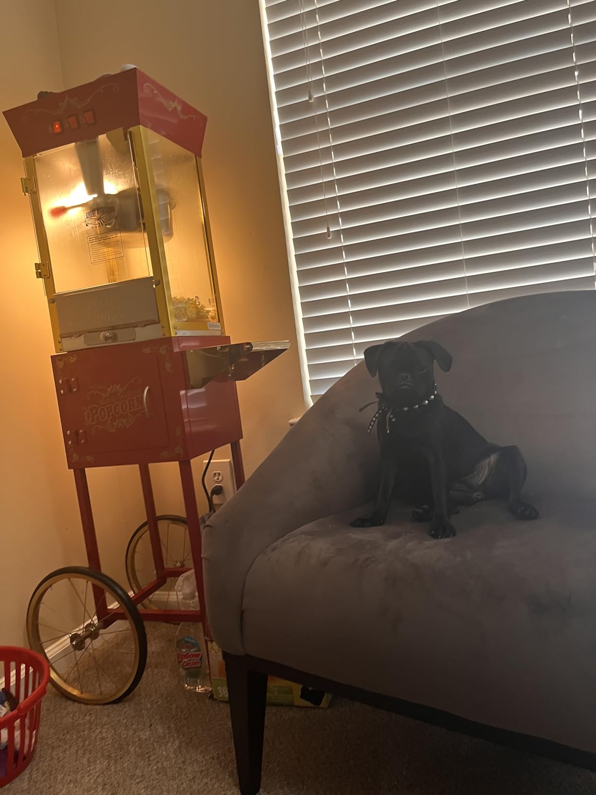 Matinee Popcorn Machine with Cart - 8oz Popper with Stainless-Steel Kettle, Warming Light, and Accessories by Great Northern Popcorn (Red) customer photo 2