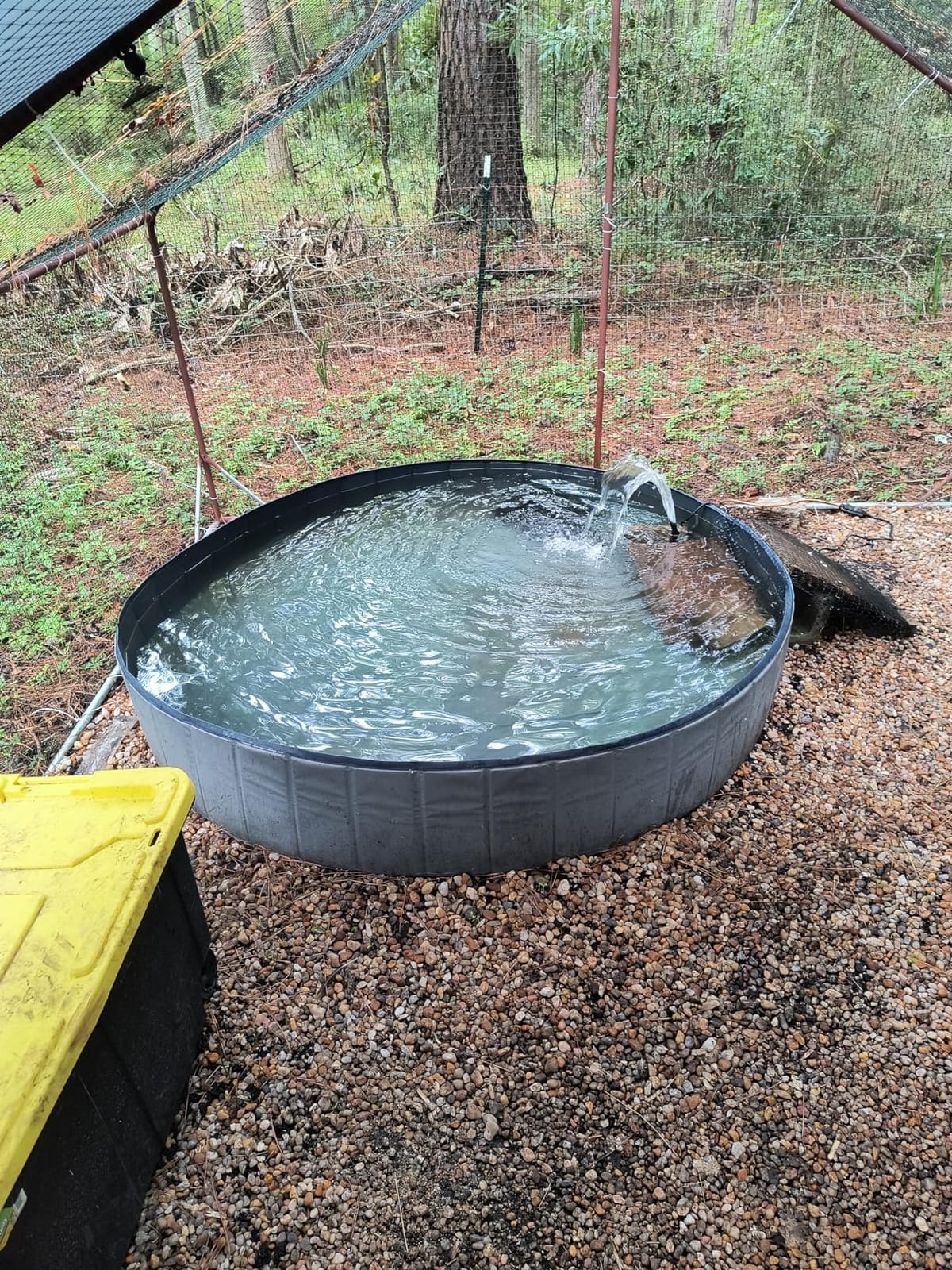 Tetra Pond Submersible Flat Box Filter 250-500 Gal | Stops Pump Clogging, Includes Foam Pads, Tubing & 3 Hose Fittings, Easy Cleaning. customer photo 1