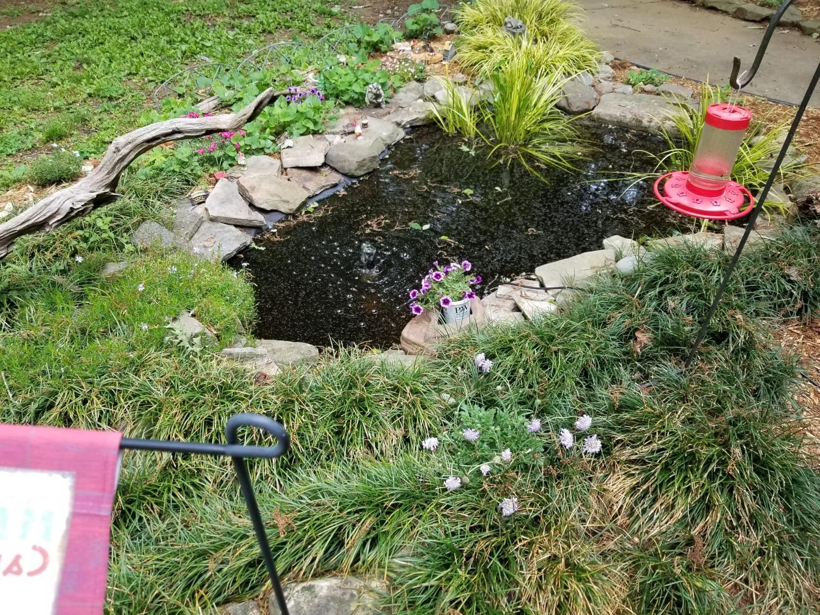 Tetra Pond Submersible Flat Box Filter 250-500 Gal | Stops Pump Clogging, Includes Foam Pads, Tubing & 3 Hose Fittings, Easy Cleaning. customer photo 2
