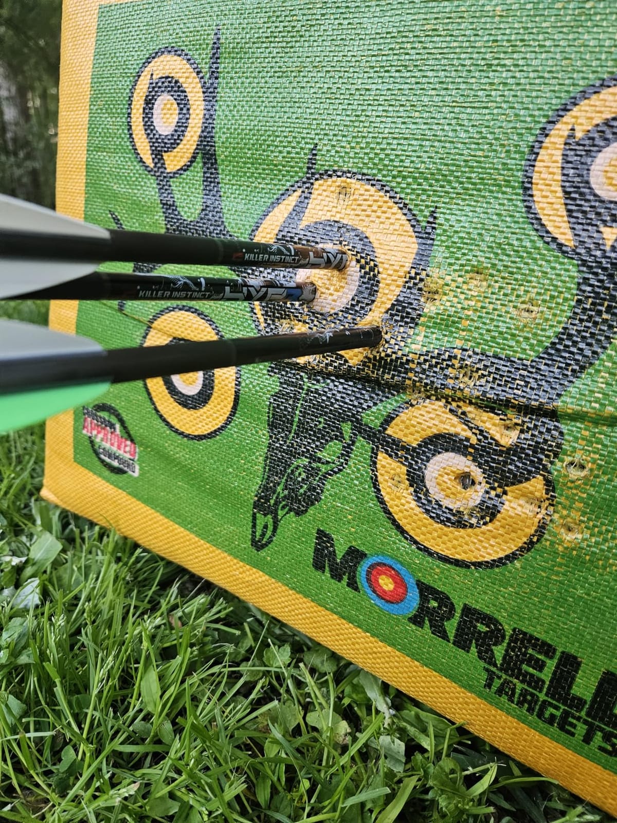 Morrell Double Duty 450 FPS Cube Field Point Archery Bag Target, Yellow customer photo 2