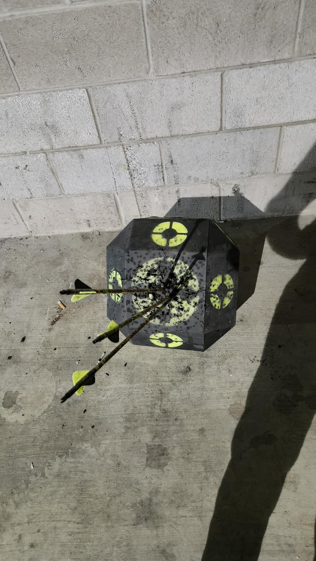 Rinehart 18-1 Archery Target, 18-Sided, Broadhead & Field Point Compatible customer photo 2