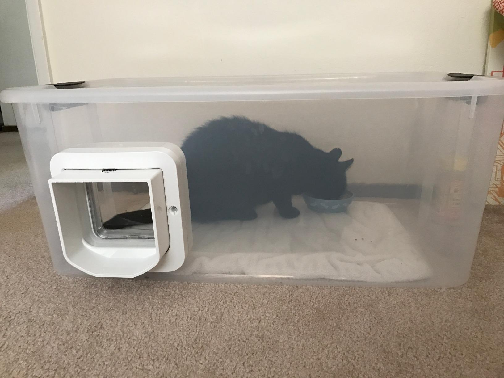 SureFlap - Sure Petcare Microchip Cat Flap, White, Scans Pet's ID on Entry, Flap Opening is 4 3/4