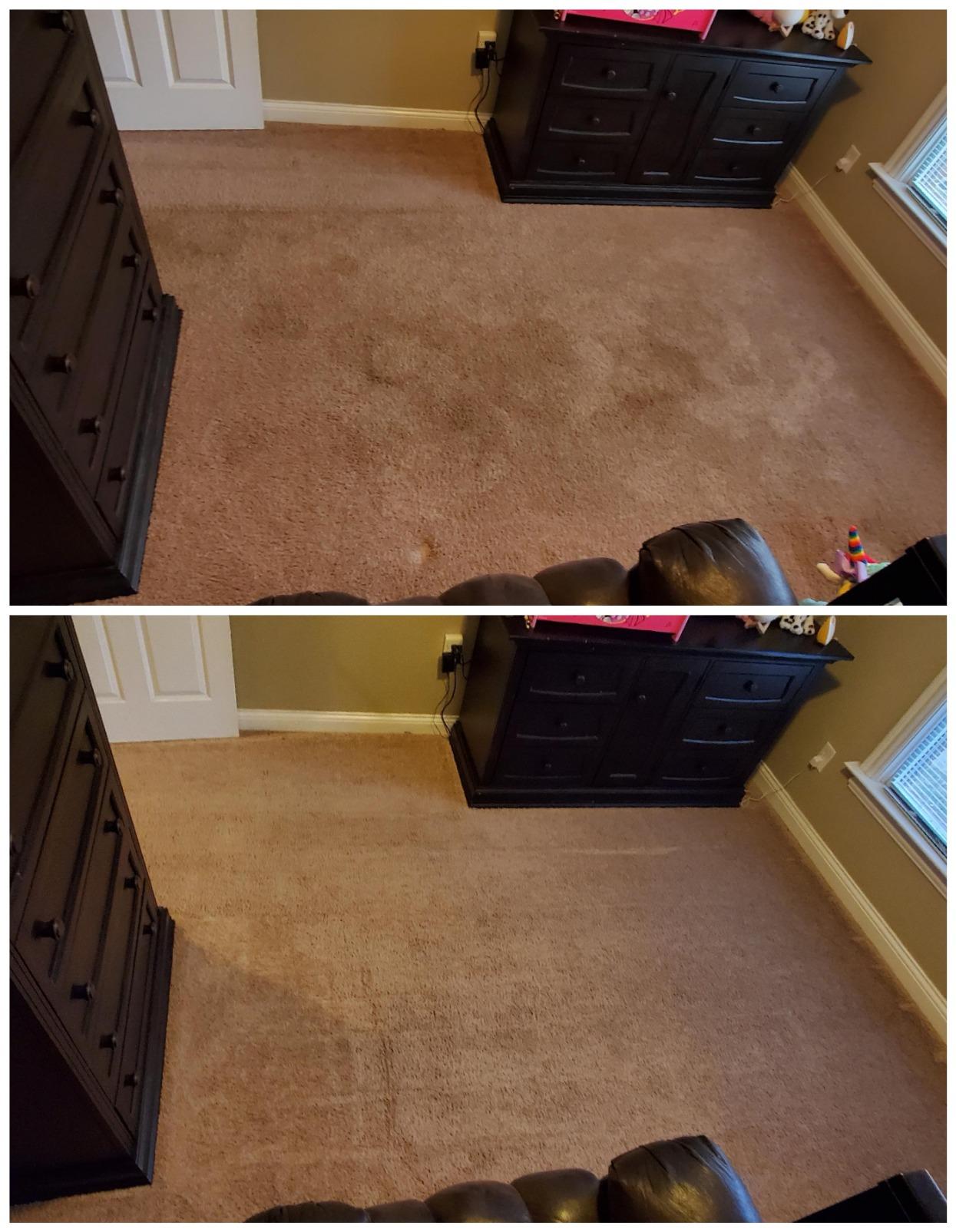 BISSELL Big Green Professional Carpet Cleaner, XL DirtLifter PowerBrush customer photo 2