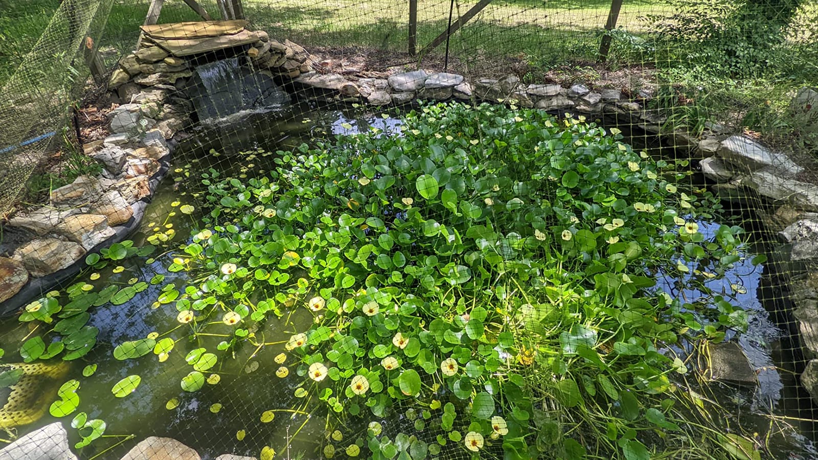 TotalPond Complete Pond Filter with UV Clarifier Black 15.16 x 9.06 x 13.11 in. customer photo 1