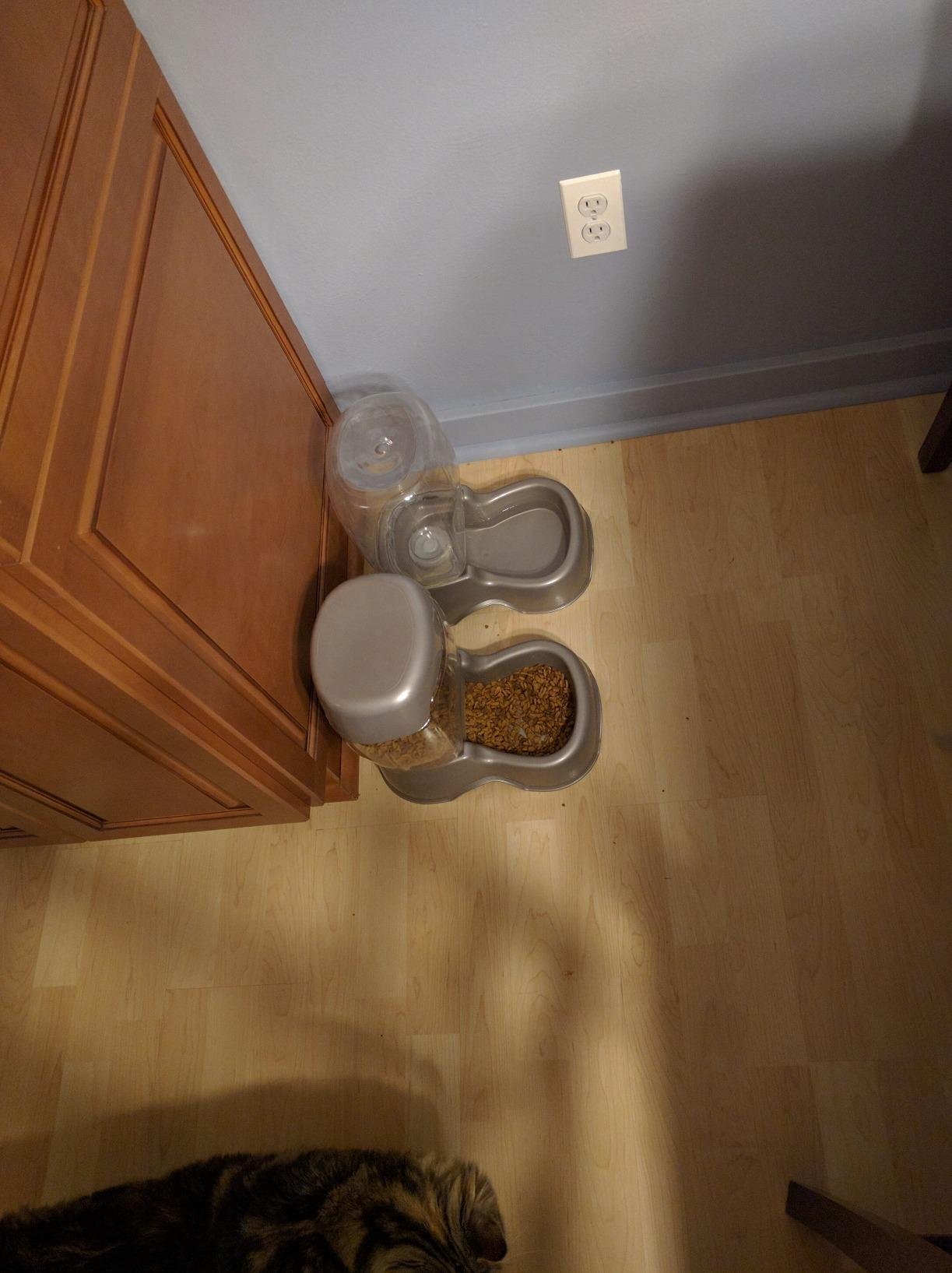 Petmate Pet Cafe Feeder for Dogs and Cats, Pearlescent | Available in 3 Sizes, Made in USA customer photo 1