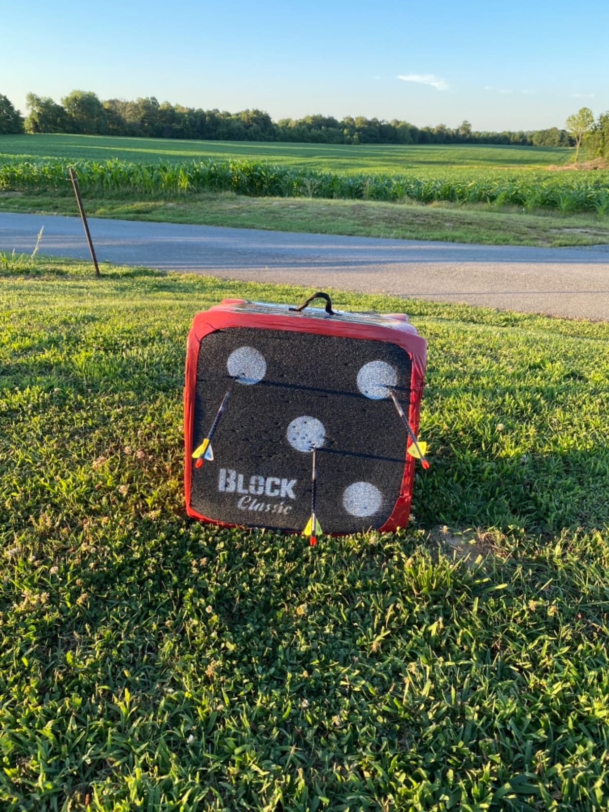 BLOCK Classic Layered Foam Archery Target, 18