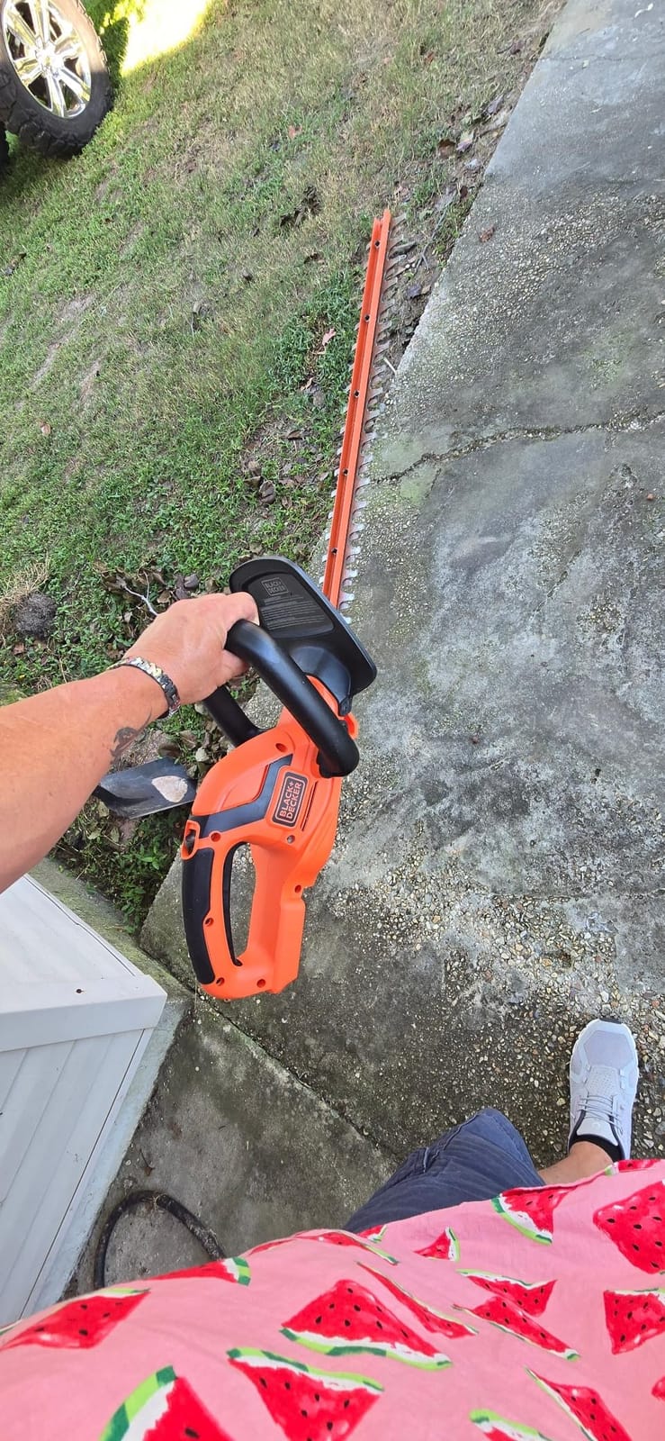 BLACK+DECKER 20V MAX Cordless Hedge Trimmer, Battery and Charger Included, 22 Inch Steel Blade Lightweight Bush Trimmer, Soft Grip, Less Vibration (LHT2220) customer photo 2