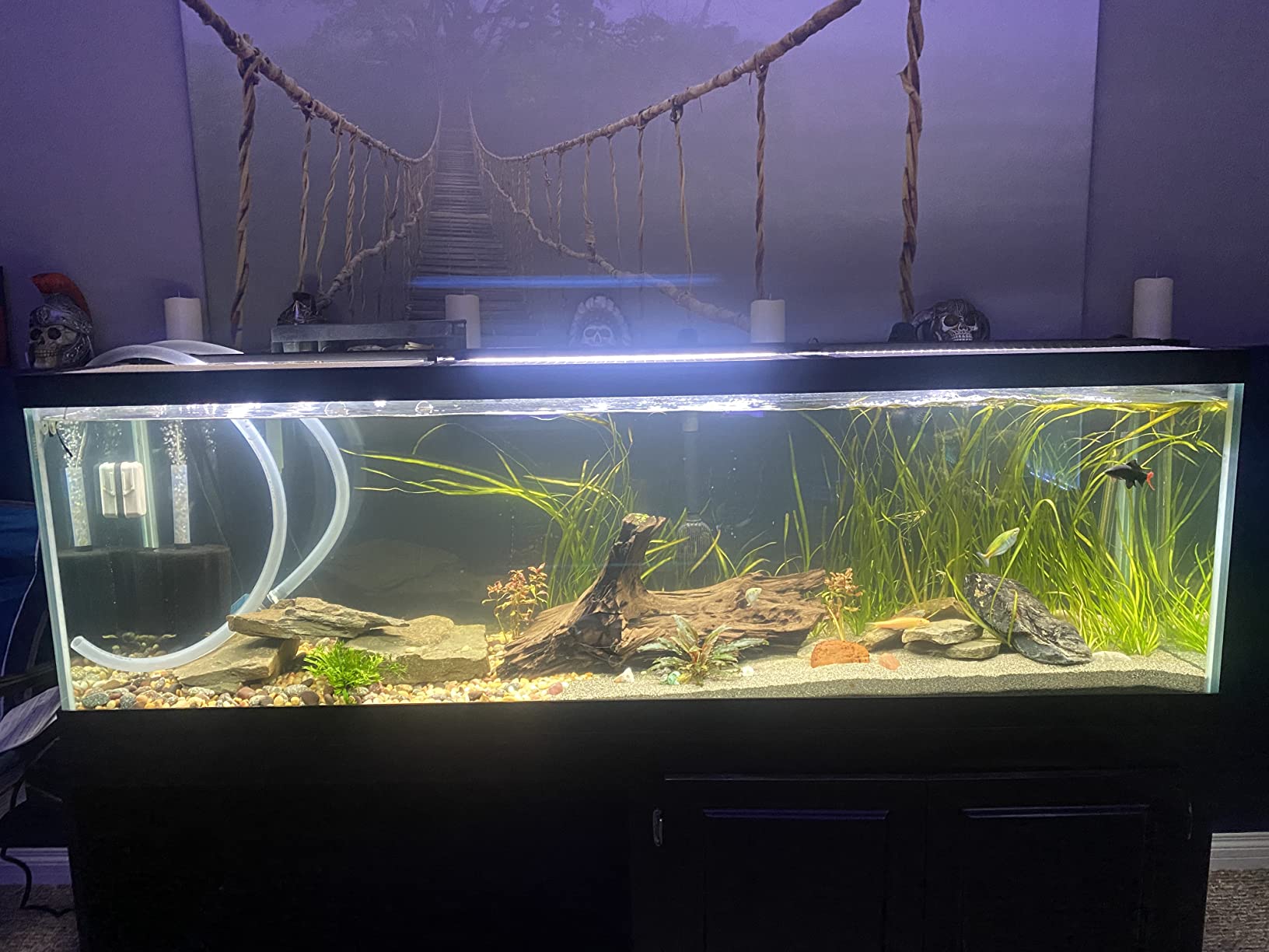 Coralife Turbo-Twist 6X UV Sterilizer for Aquariums up to 250 Gallons customer photo 1