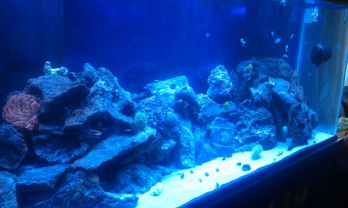 Coralife Turbo-Twist 12X Aquarium UV Sterilizer, Up to 500 Gallons customer photo 2
