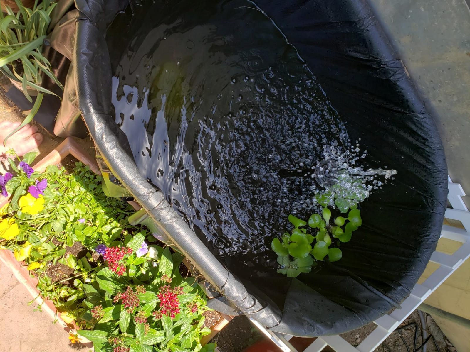 pond boss Medium Filter Kit with Pump for Ponds and Water Features customer photo 2