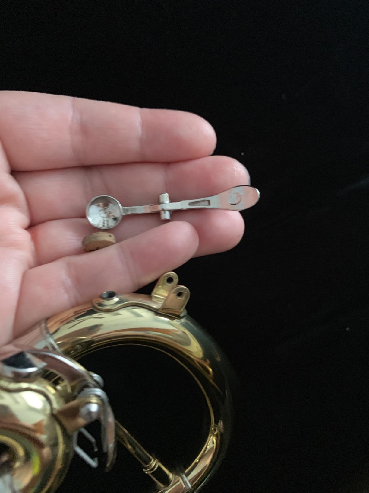 Jean Paul TR-330 Student Bb Trumpet, Two-Piece Yellow Brass Bell, Stainless Steel Valves, U.S. Play-Tested, Gold Lacquer Finish, 7C Mouthpiece and Semi-Hard Case Included customer photo 2