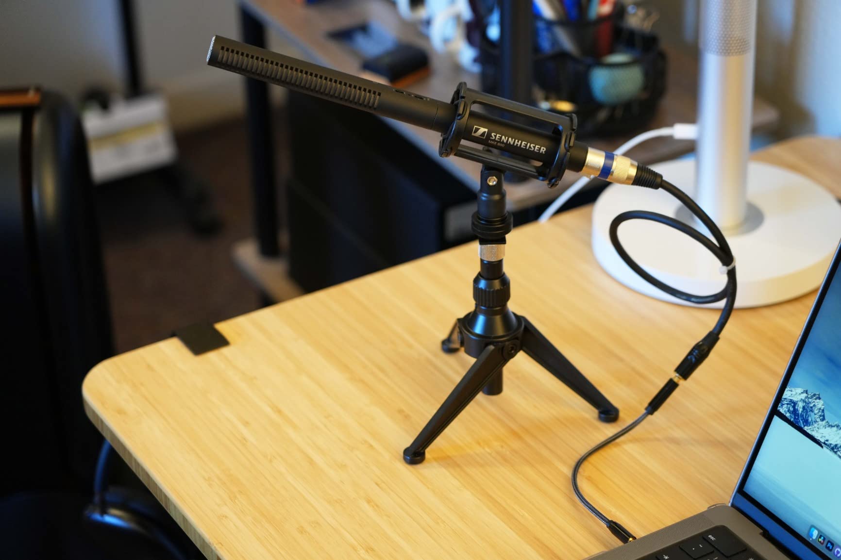 Sennheiser Pro Audio MKE600 Shotgun Microphone | Supercardioid with XLR-3M and Low-Cut Filter for Camcorders, Video DSLRs and Outdoor Recording customer photo 2