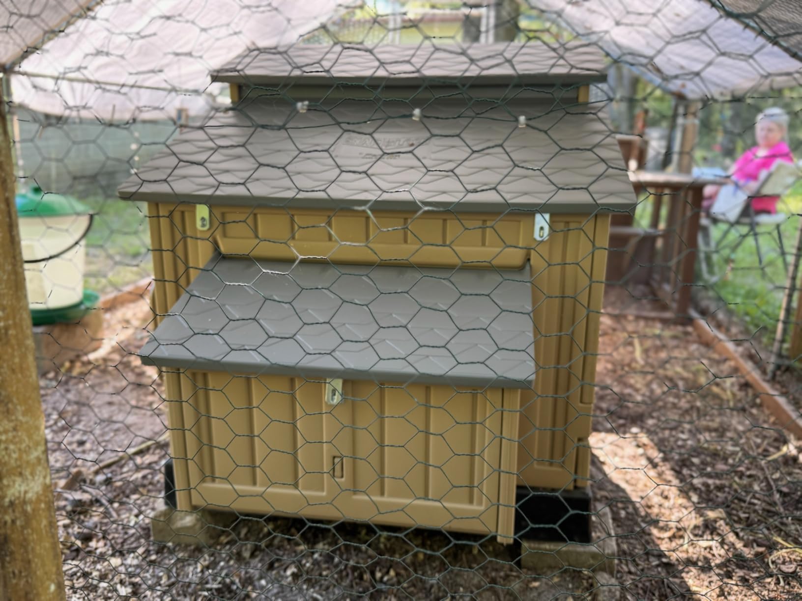 Hatching Time Formex Snap Lock 4-6 Large Chicken Coop, Backyard Hen House | Houses 4 to 6 large hens or 6 to 12 bantams, Durable Plastic Construction, Easy Egg Collection & Cleaning with Removable Tray customer photo 2