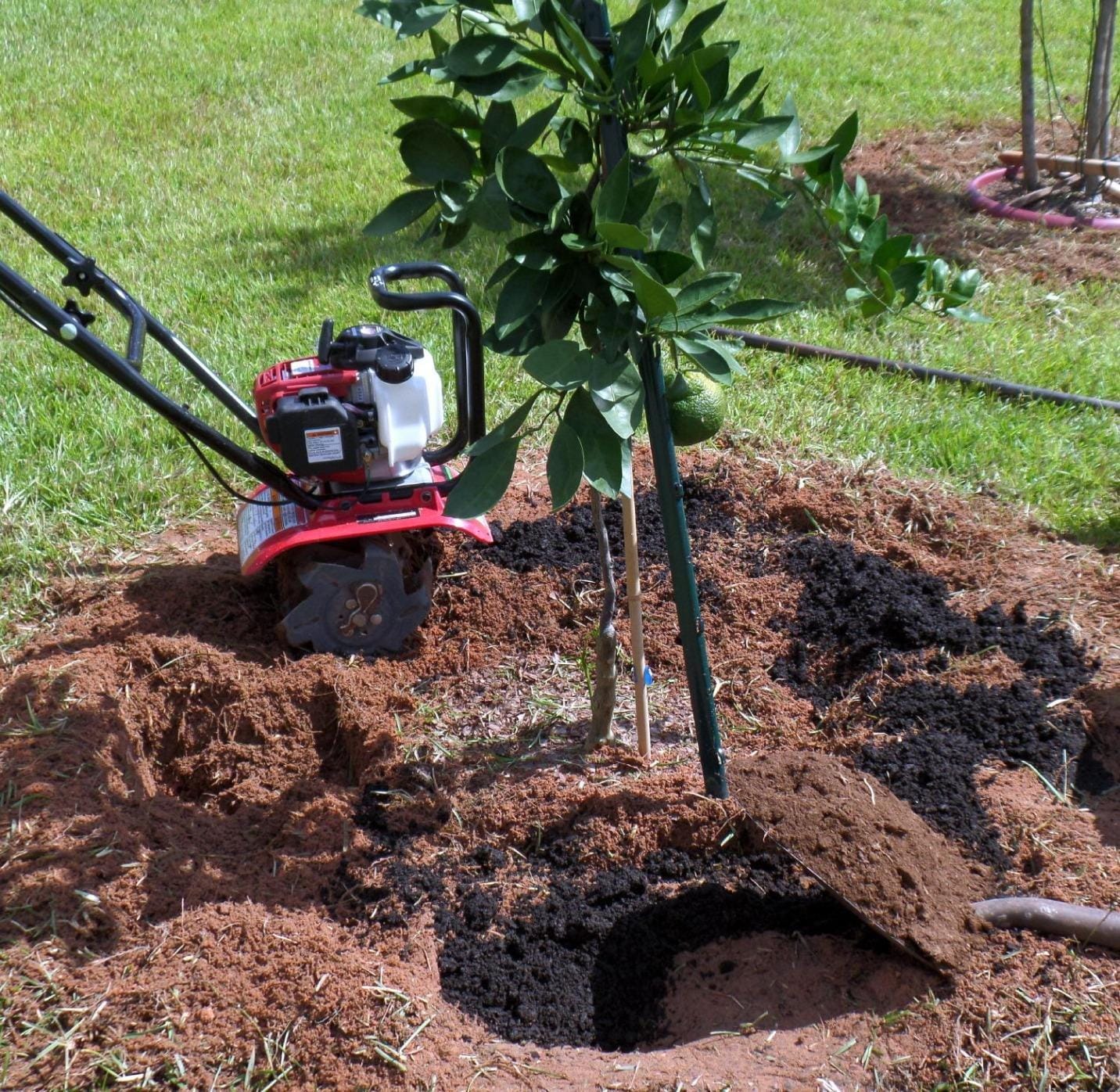 Honda FG110 Mini Tiller Cultivator, 6- to 9-Inch Tilling Width, Gas Engine customer photo 1