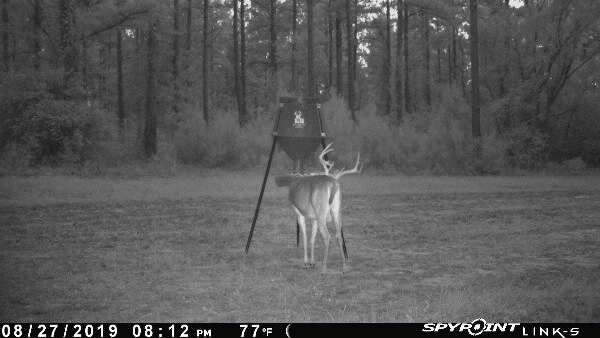 BOSS BUCK 350 LB Deer Feeder/Hunting Durable Lightweight Plastic UV Protected Windproof Waterproof Gravity Feed with Protein 3 Feed Tubes Head, Multi-Piece Round Legs customer photo 2
