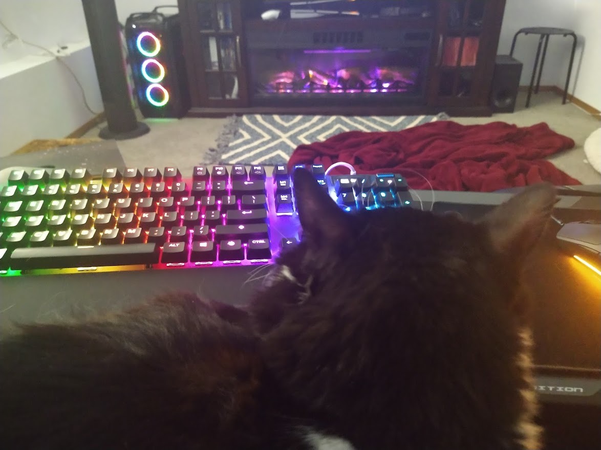 Couchmaster CYCON³ HORIZONLIGHT Bar, Ultimate Ergonomic USB-Hub Gaming Lap Desk for Couch and Bed, Large, Stable and Compatible with All Keyboards and Mouse/Mice, Laptops, PCs, PS4/5, Xbox customer photo 1