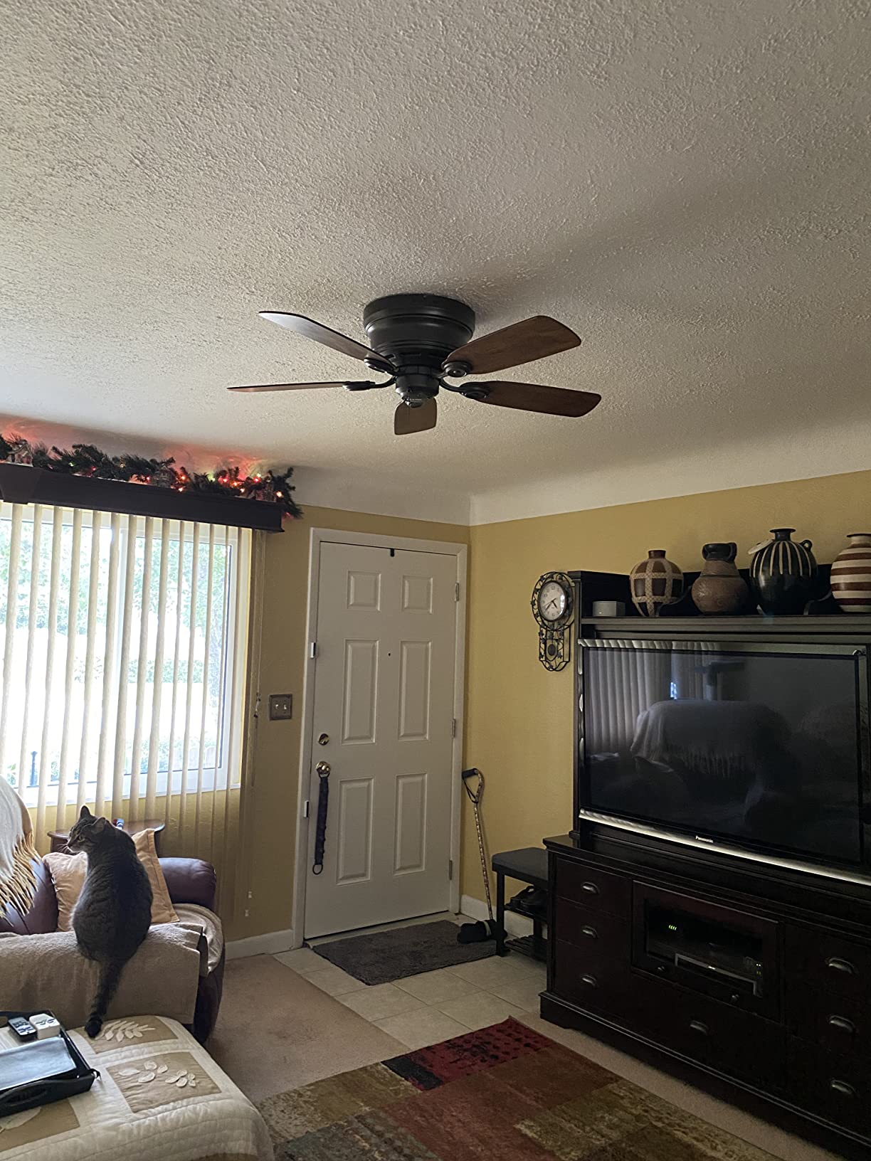 Hunter Low Profile IV, Indoor, Ceiling Fan, No Light, 42 inch, New Bronze | Low Profile Flush Mount, Pull Chain, 5 Blades, For Bedroom, Living Room, Kitchen, 51061 customer photo 1