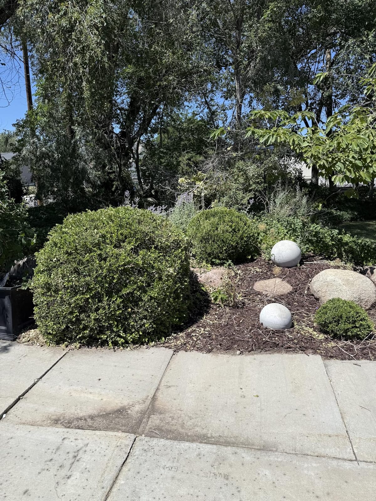 BLACK+DECKER Electric Hedge Trimmer, 17-Inch Corded 3.2 Amp, Dual Action, Reduced Vibration, Cleaner Cut, Lightweight, 3800 Cuts per Min (BEHT150) customer photo 2