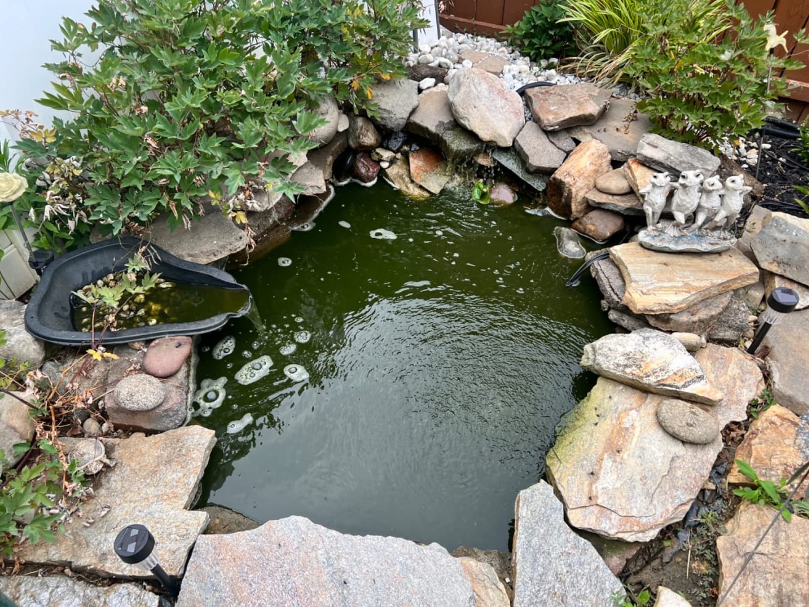Aquascape 95053 UltraKlean 2000 Gallon Biological Pressure Filter with 14 Watt UV Clarifier Sterilizer for Pond Water Feature, 2,700 GPH Black customer photo 1