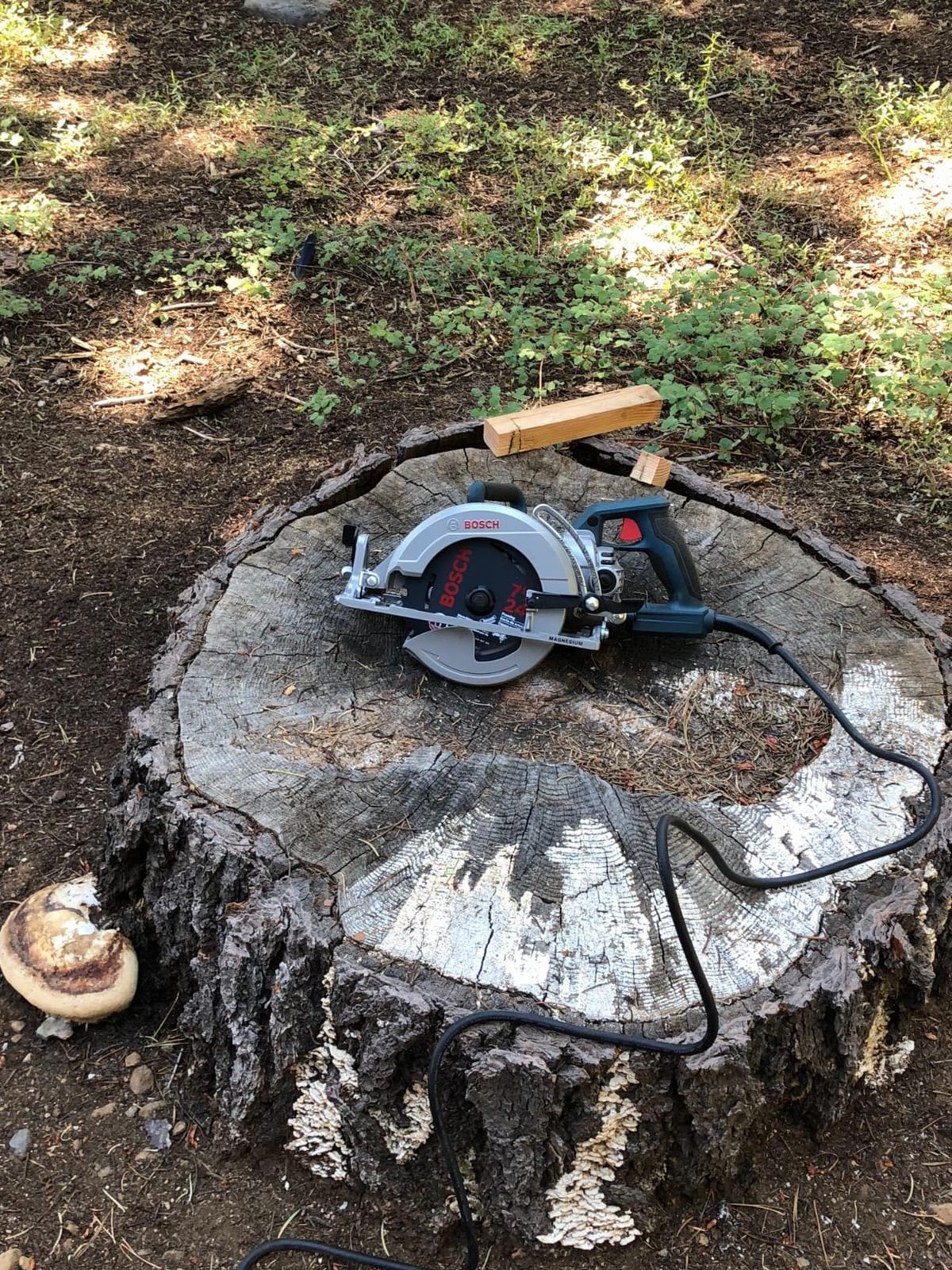 Bosch 7-1/4-Inch Worm Drive Circular Saw CSW41, Blue customer photo 2