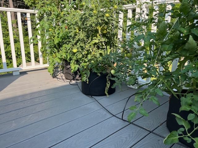 Raindrip R560DP Drip Watering System, Automatic Drip Irrigation System with Timer for Containers and Hanging Baskets, Waters up to 20 Plants, Includes 20 Drippers, Black customer photo 2