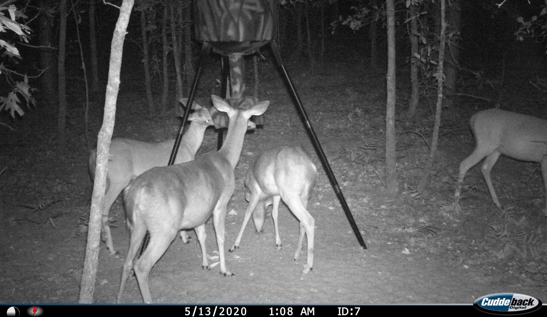 Wildgame Innovations Quick-Set 270 lb Game Feeder | Durable tripod Corn/Pellet hunting feeder, digital timer, 1-4 available feed times & 30-feet radius customer photo 1