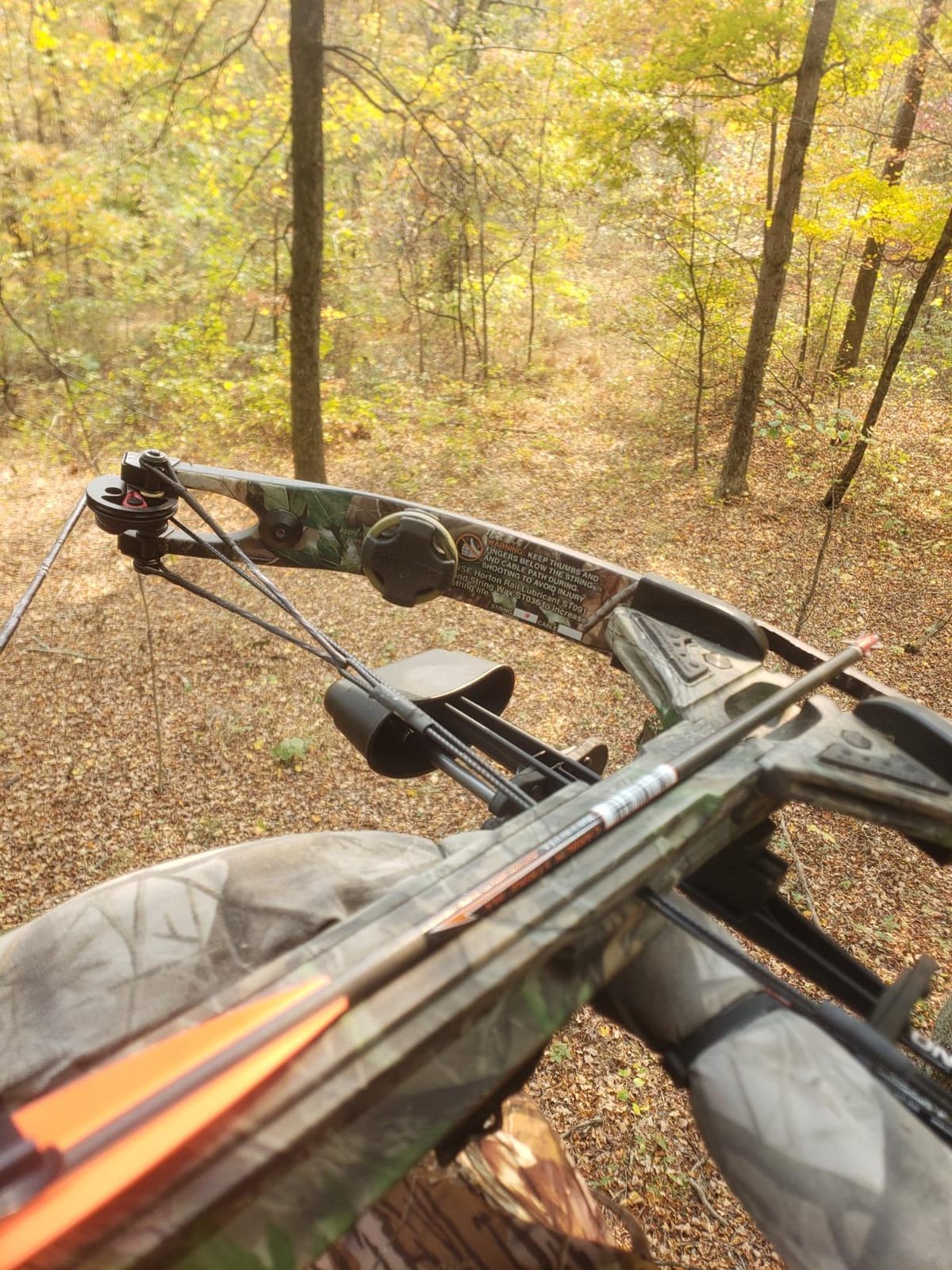 Summit Treestands Goliath SD Climbing Treestand, Mossy Oak customer photo 2