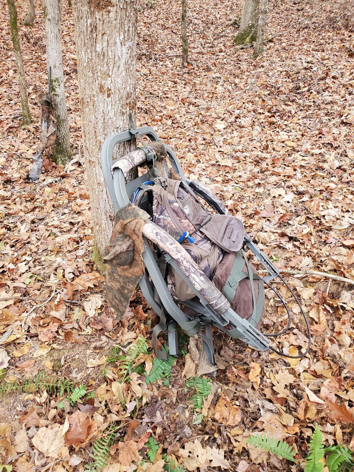 Summit Treestands Titan SD Climbing Treestand customer photo 2