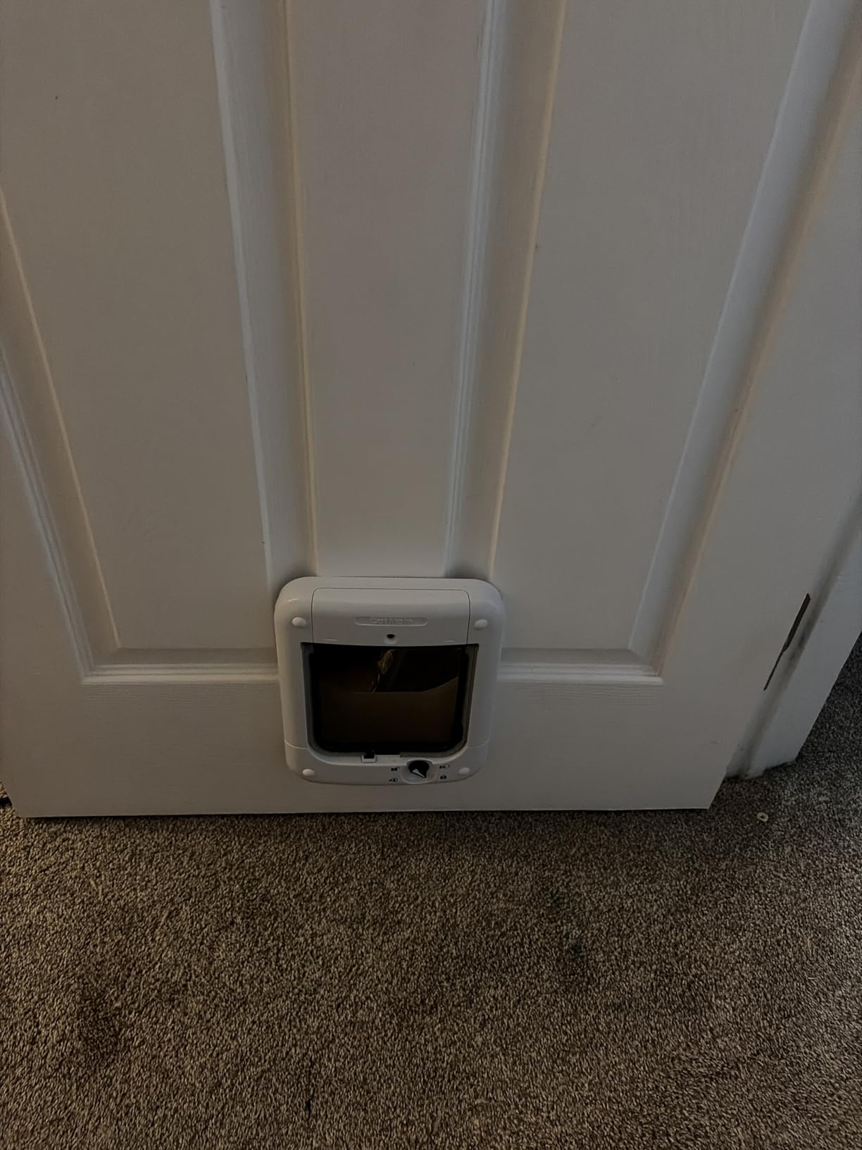 Cat Mate Microchip Activated Cat Flap, For Cats and Small Dogs, Easy Installation in UPVC Doors, Glass, and Wooden Doors - White customer photo 2